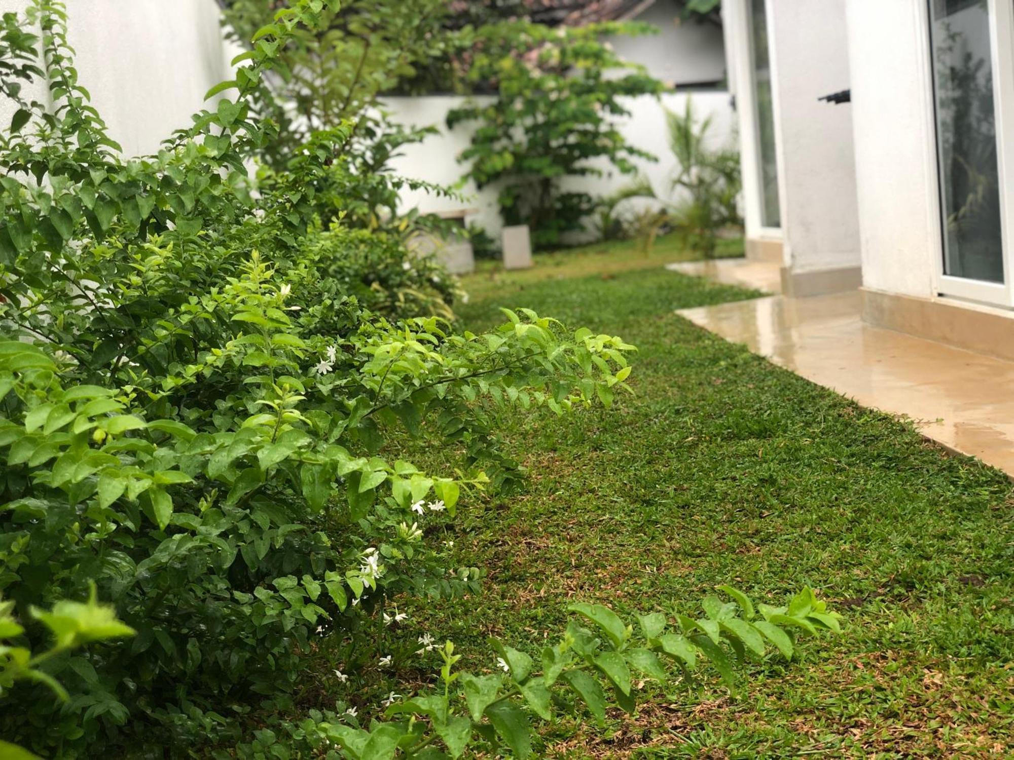Luvi'S Villa Галле Экстерьер фото